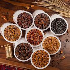 Kurma importir